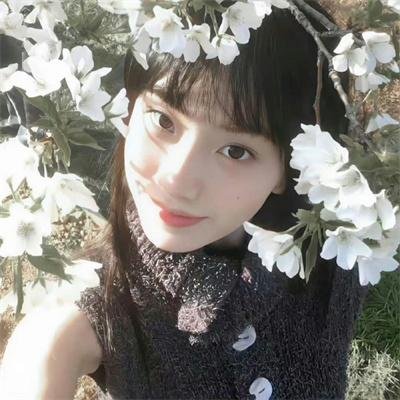 缔创学校