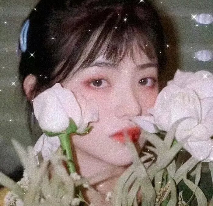 黑人奥菲尔